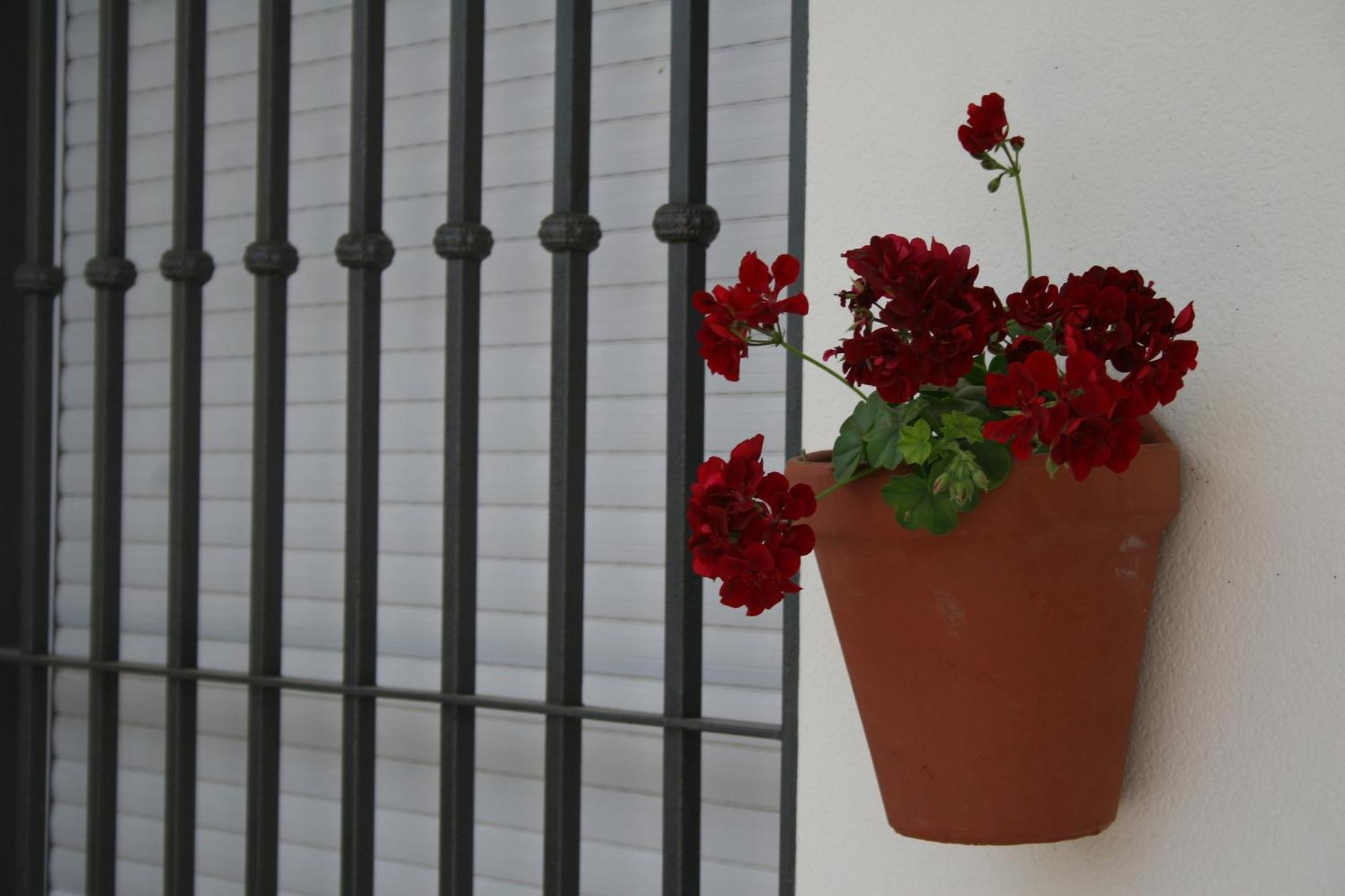Casas De Nani Beas de Segura